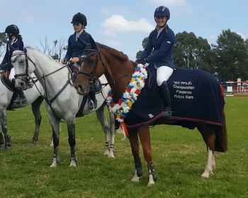 Presentation photo in the arena