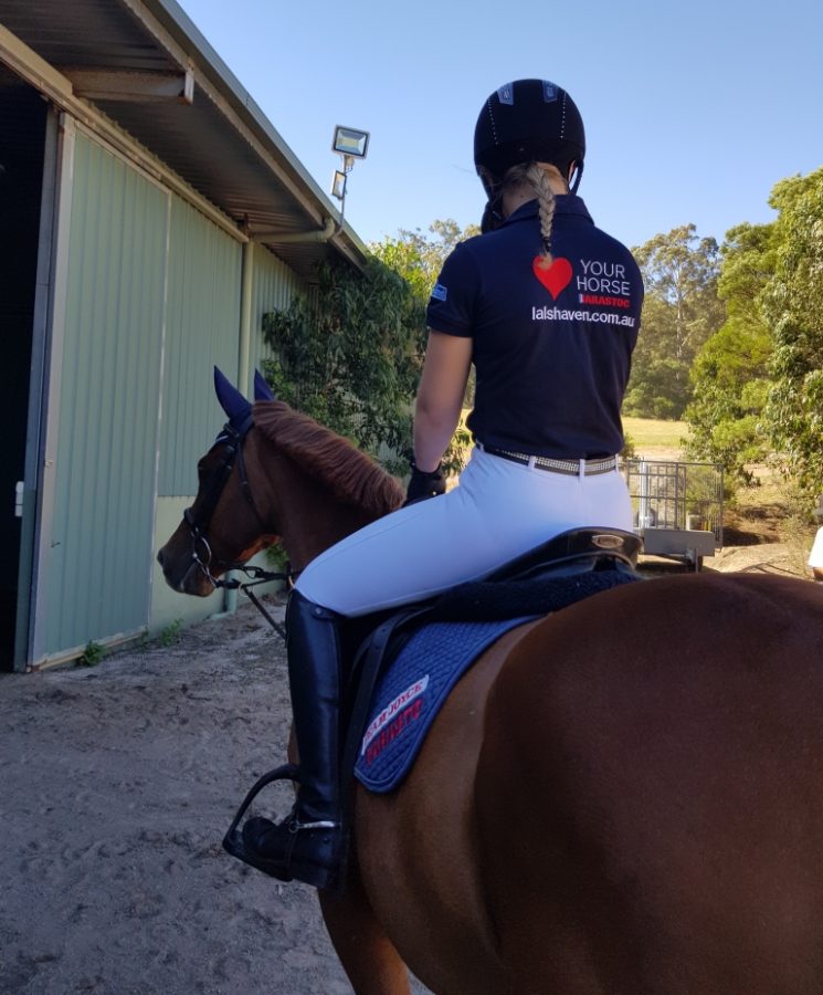 Johnny looking very happy to go into the indoor to jump