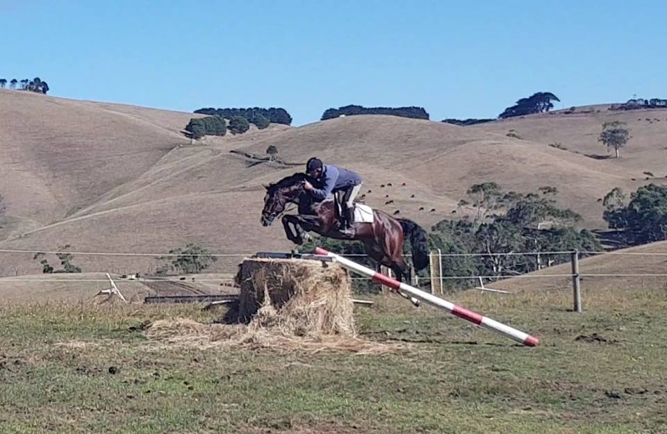 Wes jumping the hay bayle with Oaks Volta