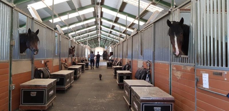 Harley Brown Equestrian stable block