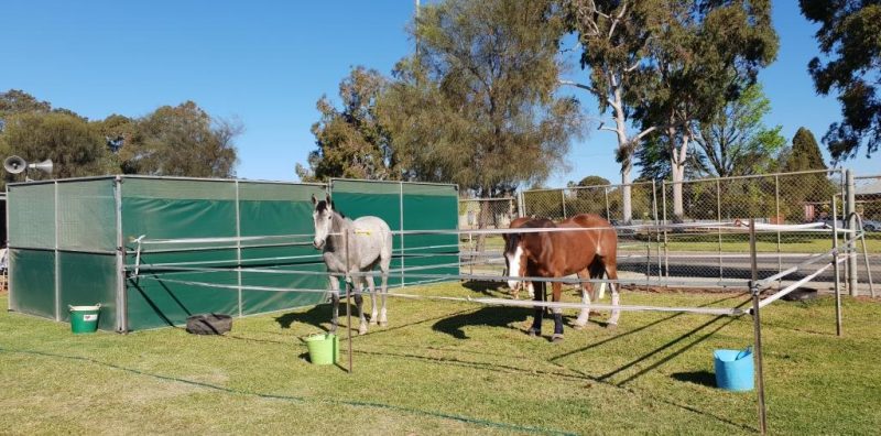 Team Joyce yards at Swan Hill Show